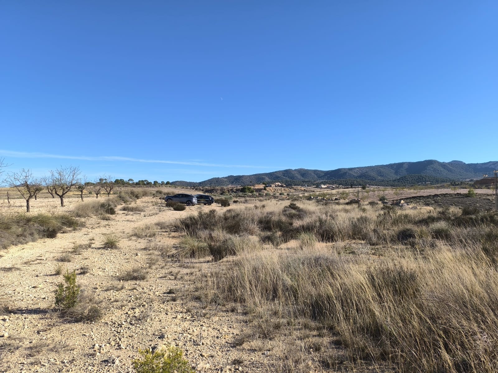 Living room in land for sale in Jumilla