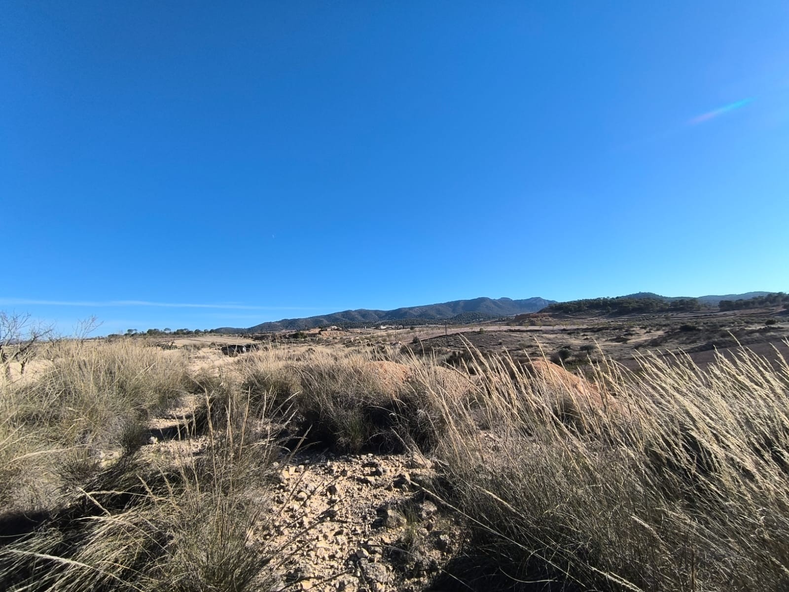 Master bedroom in land for sale in Jumilla