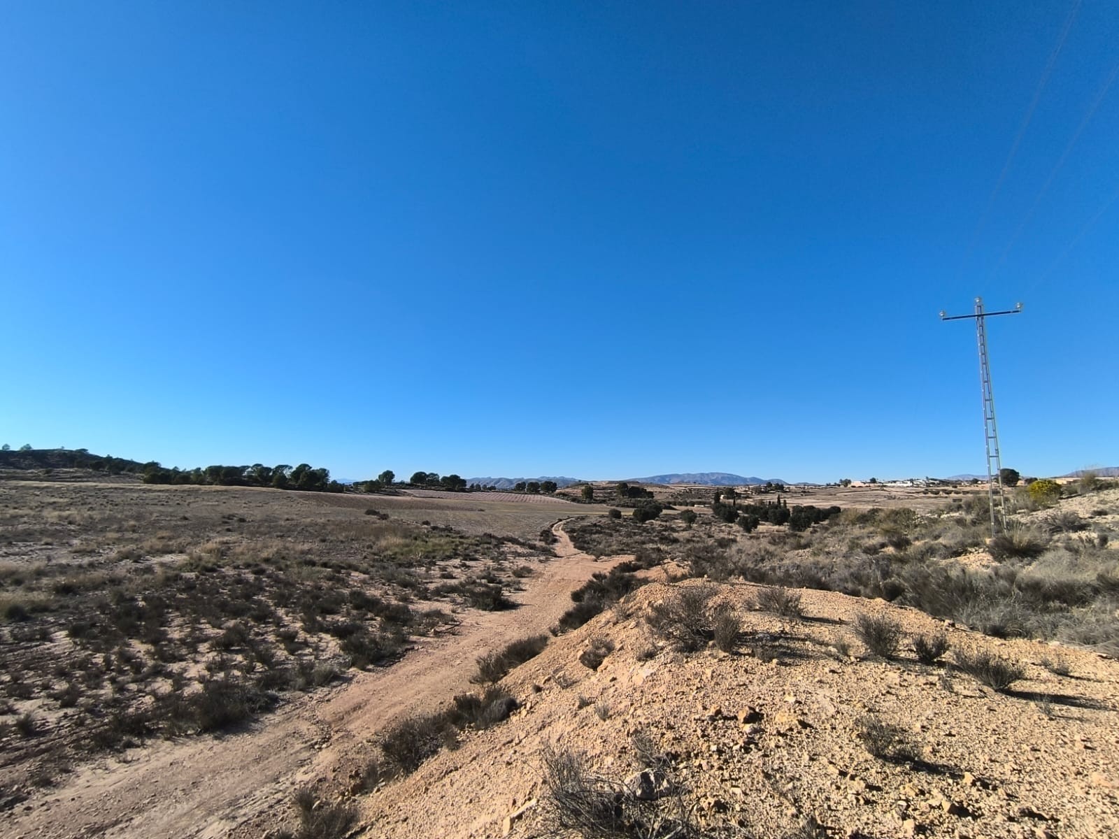 Bathroom in land for sale in Jumilla