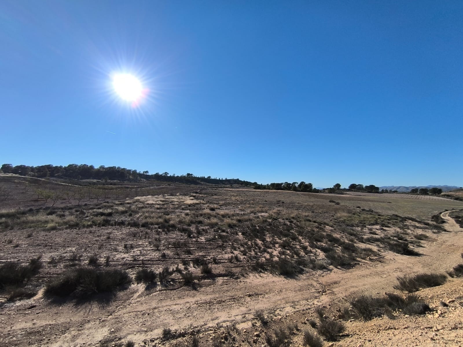 Terrace in land for sale in Jumilla