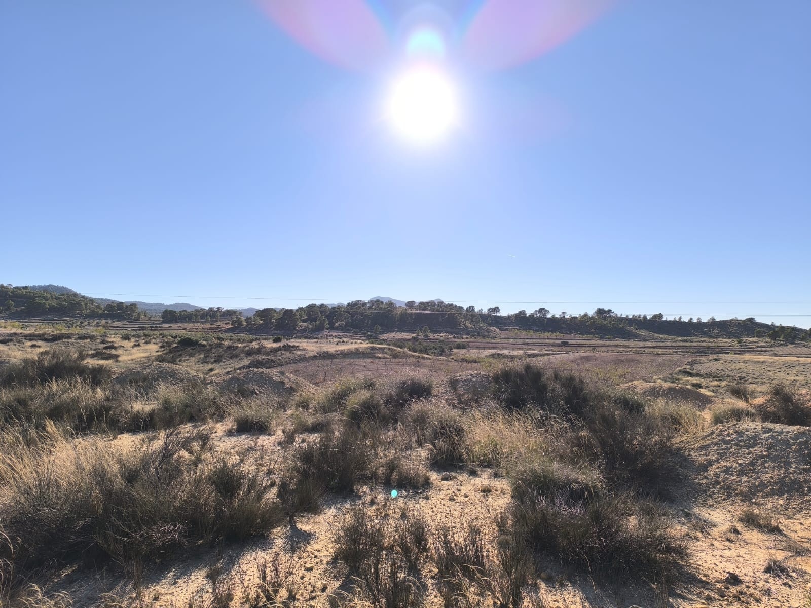 Bedroom in land for sale in Jumilla