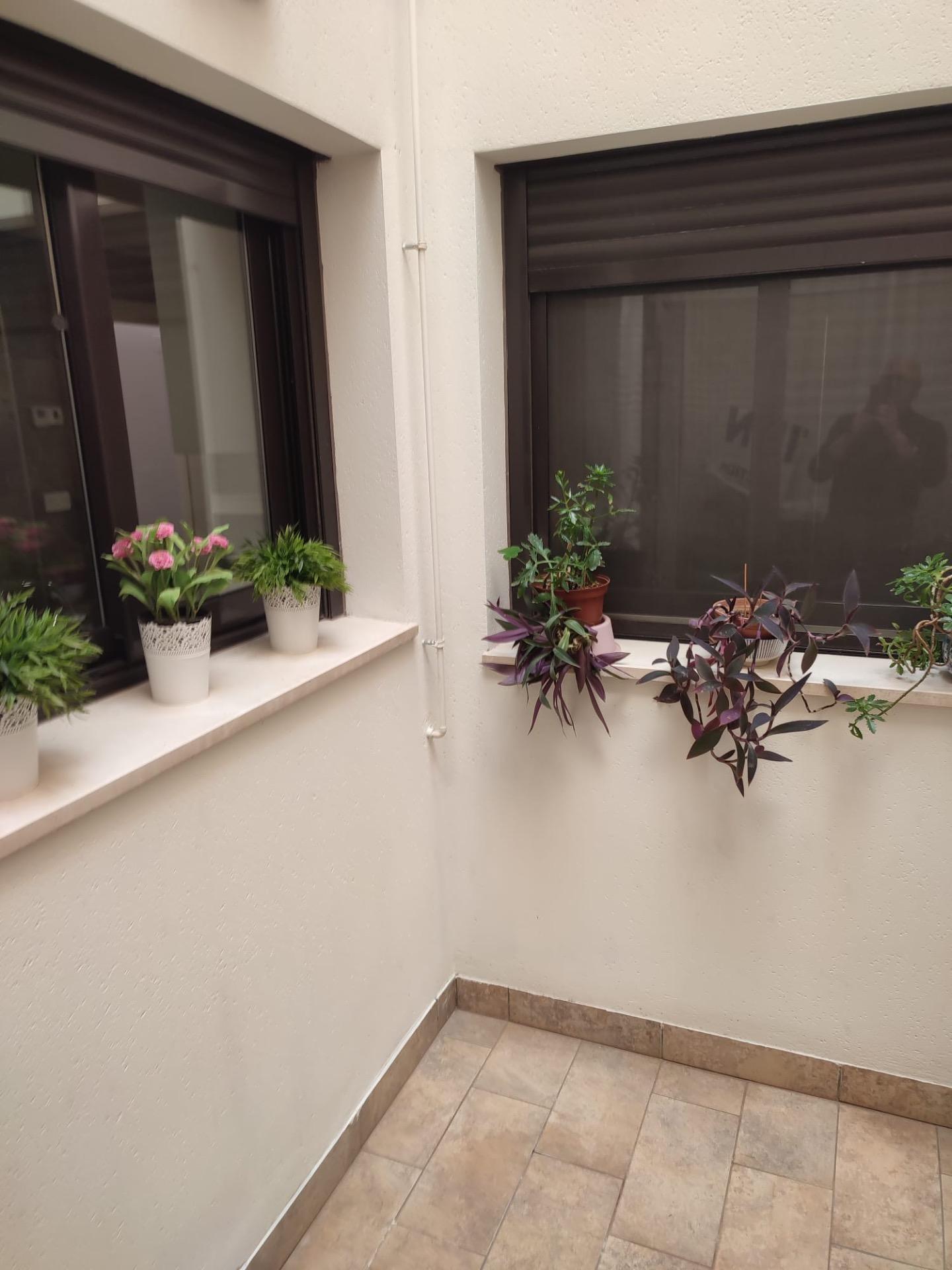 Pool area in apartment for sale in Orihuela