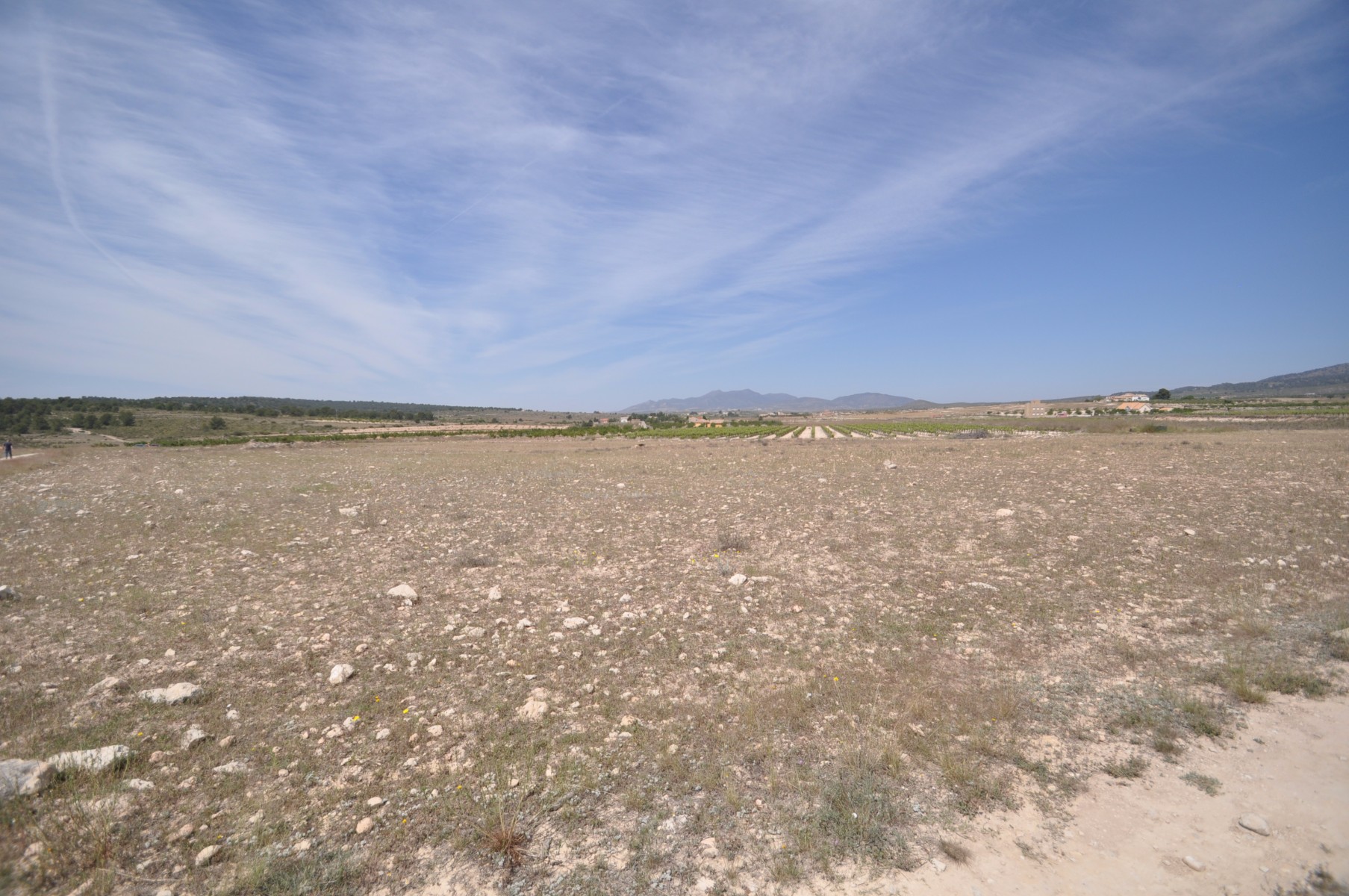 Master bedroom in land for sale in Pinoso