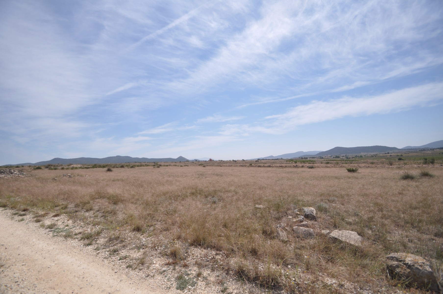 Terrace in land for sale in Pinoso