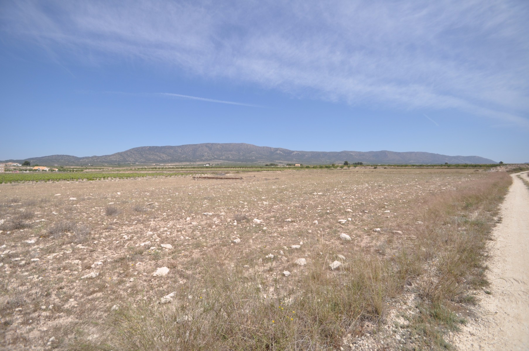 Pool area in land for sale in Pinoso
