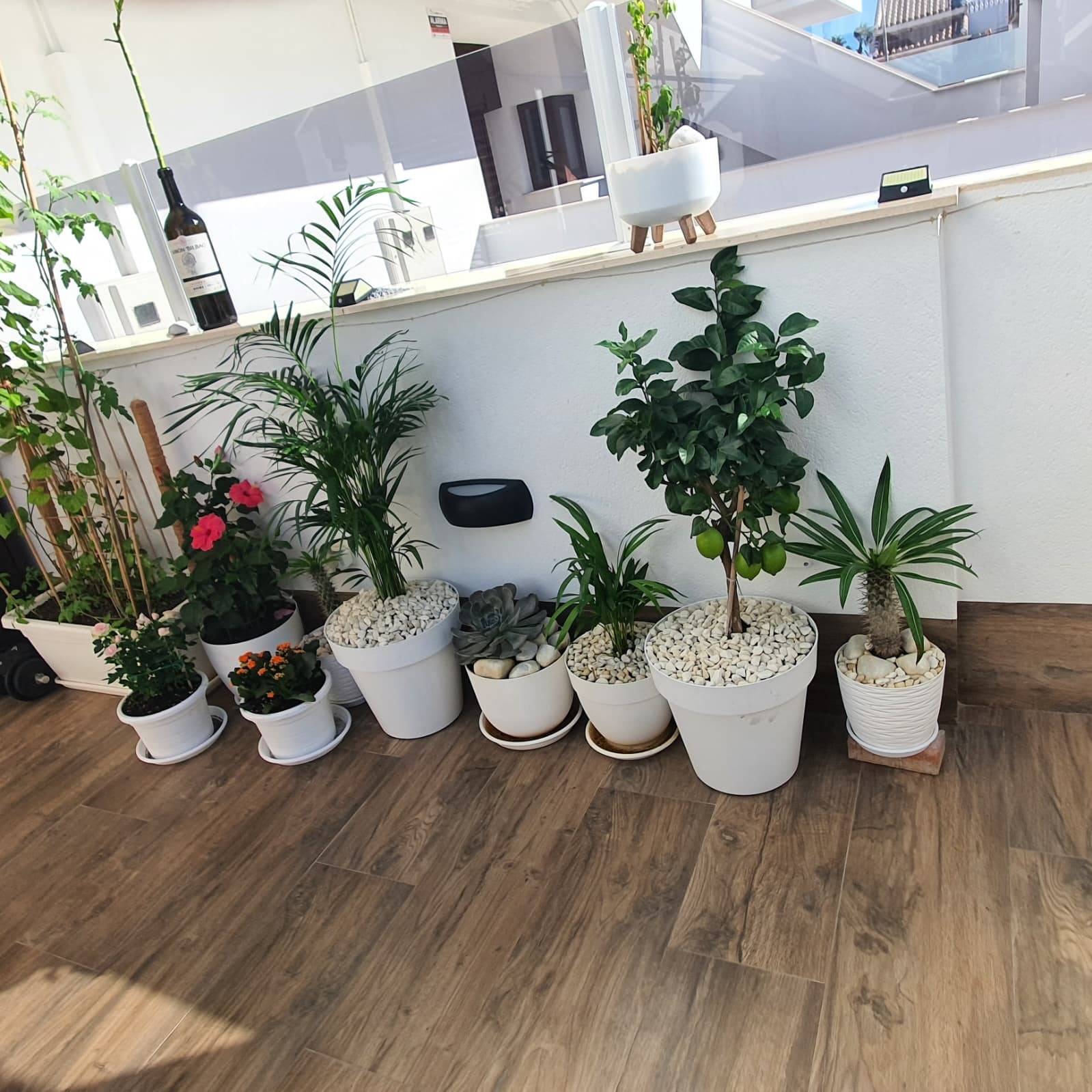 Kitchen in villa for sale in San Pedro del Pinatar