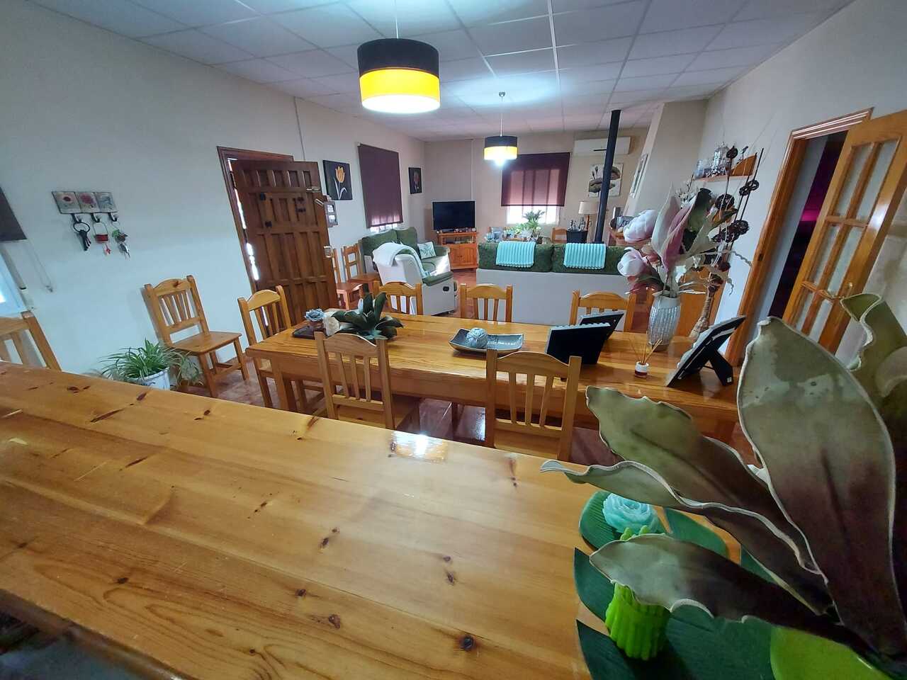 Garden in villa for sale in Calasparra