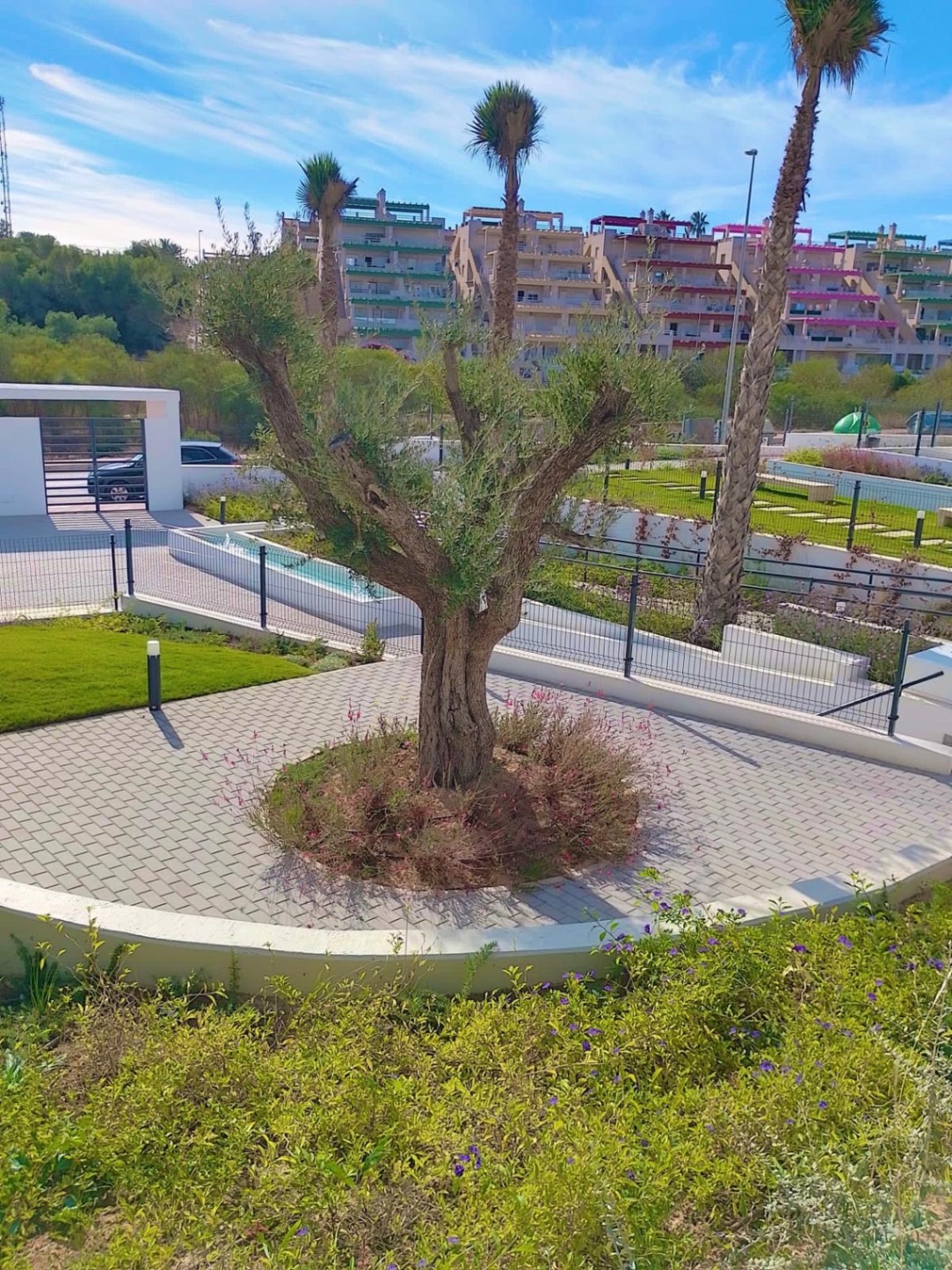 Pool area in apartment for sale in Orihuela