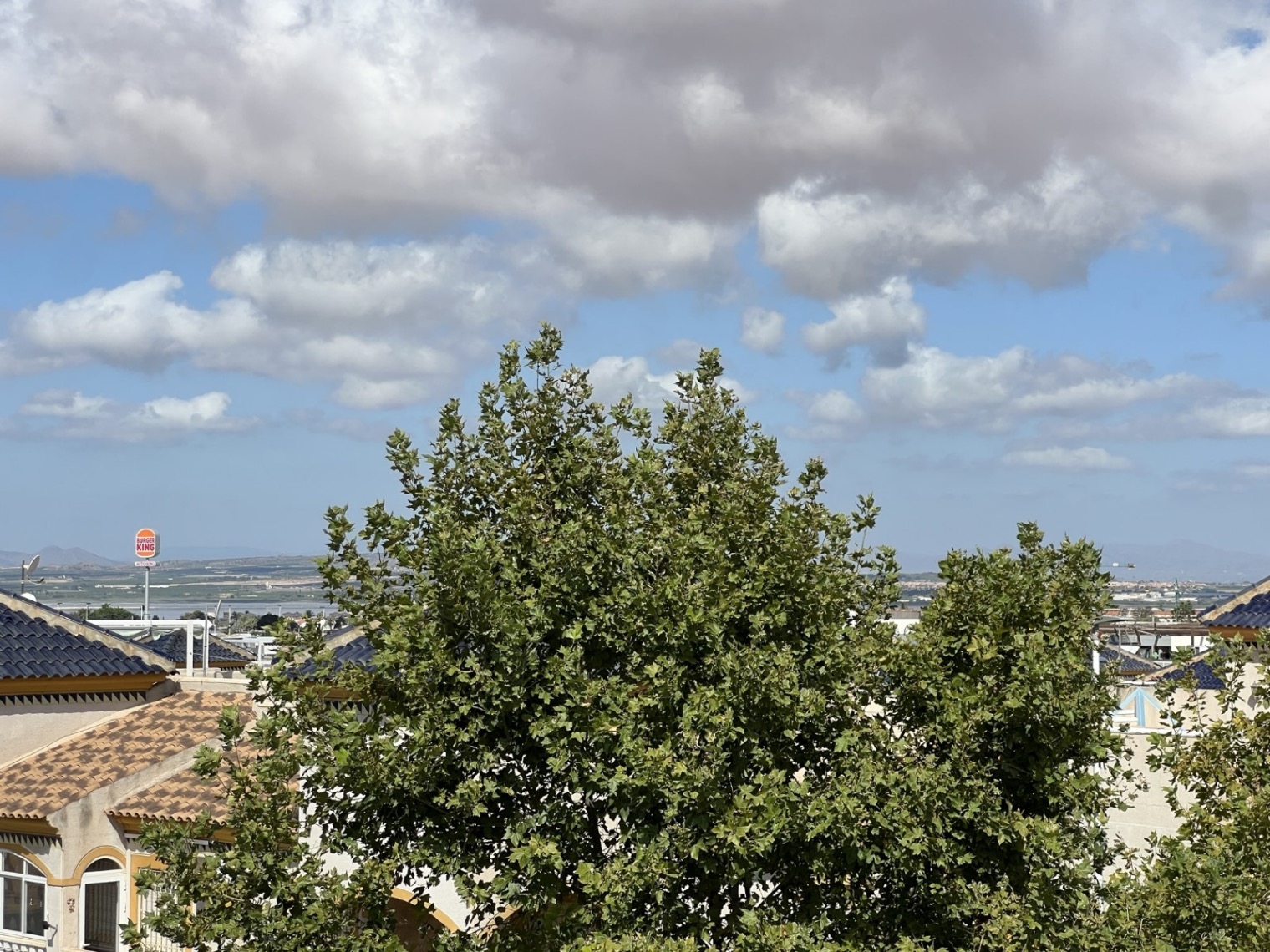 Terrace in commercial for sale in Torrevieja