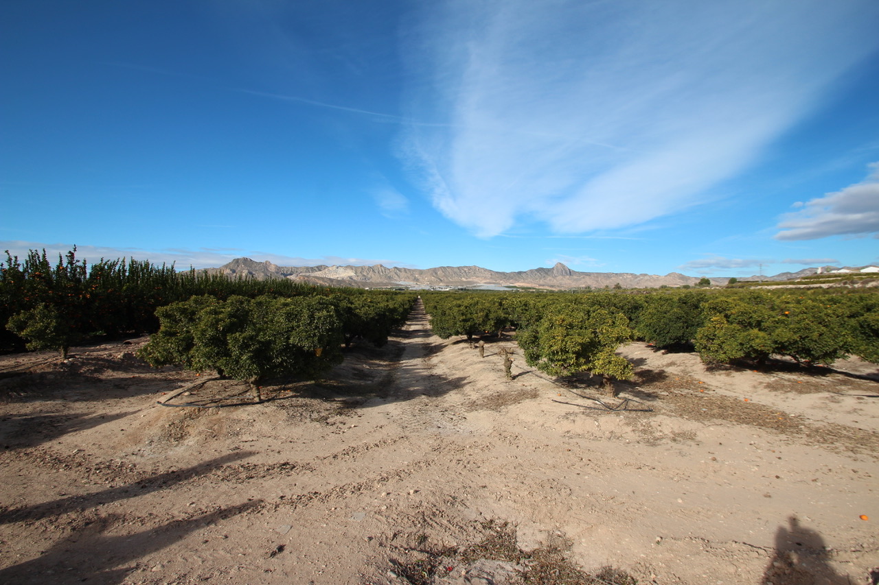 Kitchen in finca for sale in Murcia
