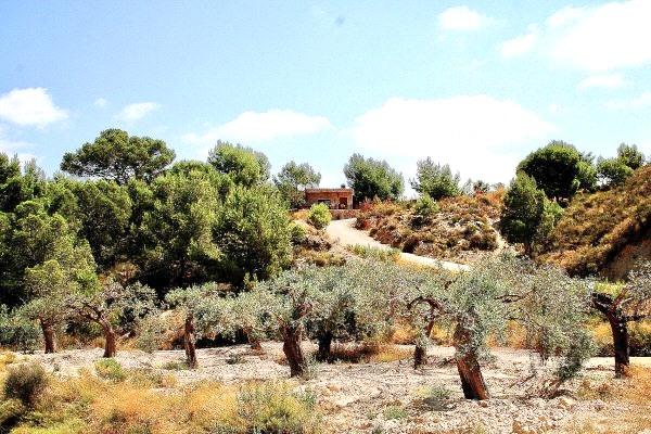 Terrace in villa for sale in Murcia