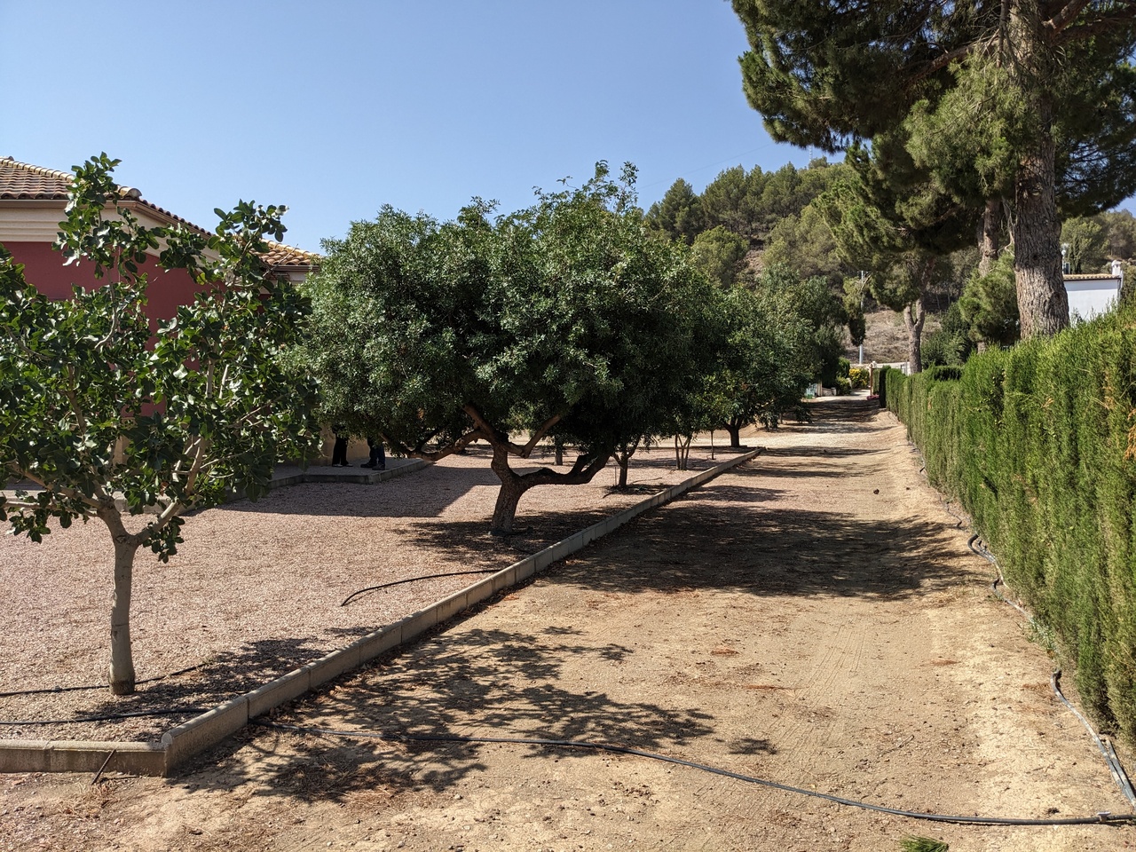 Exterior view in villa for sale in Murcia