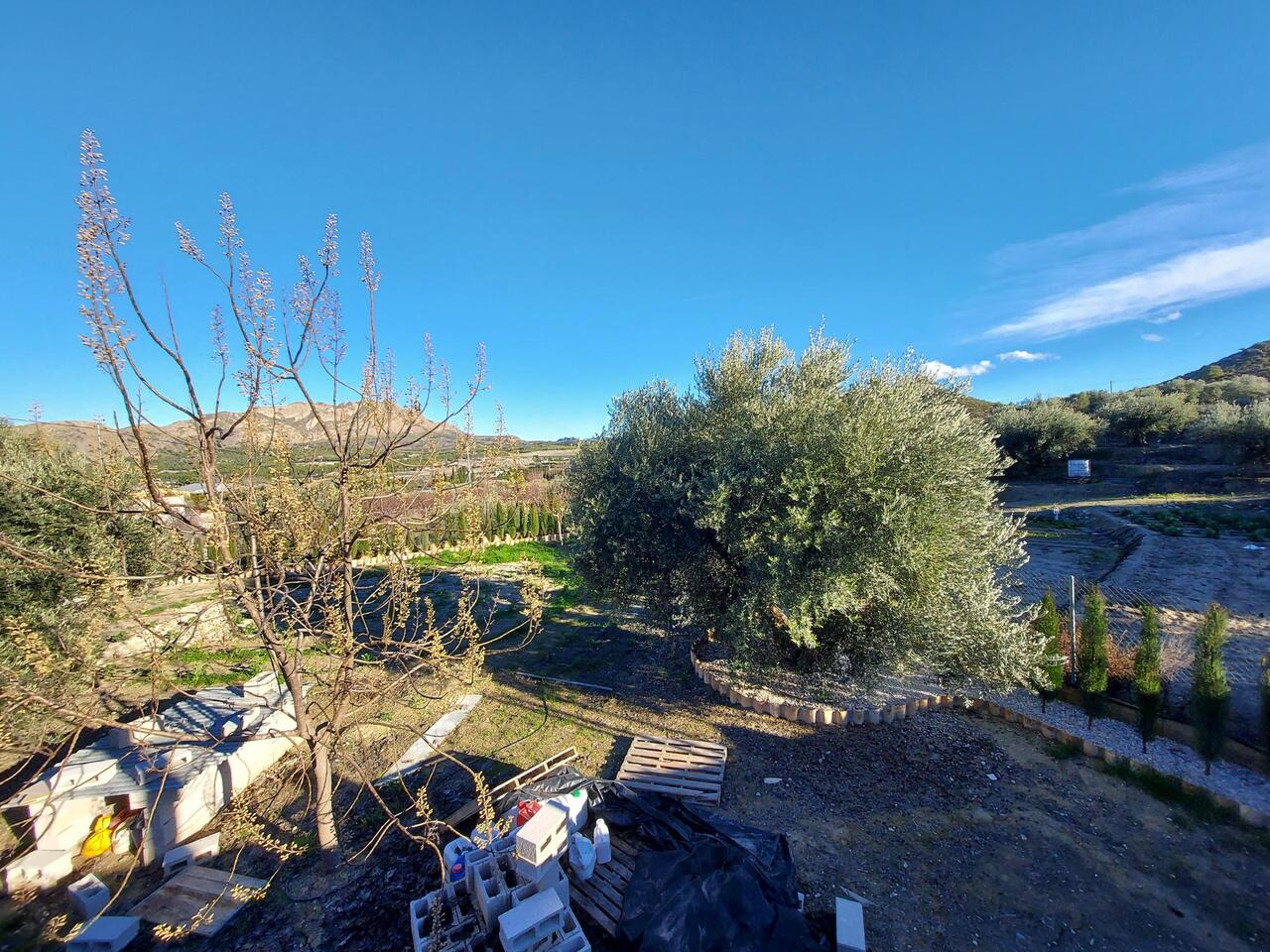 Garden in villa for sale in Murcia