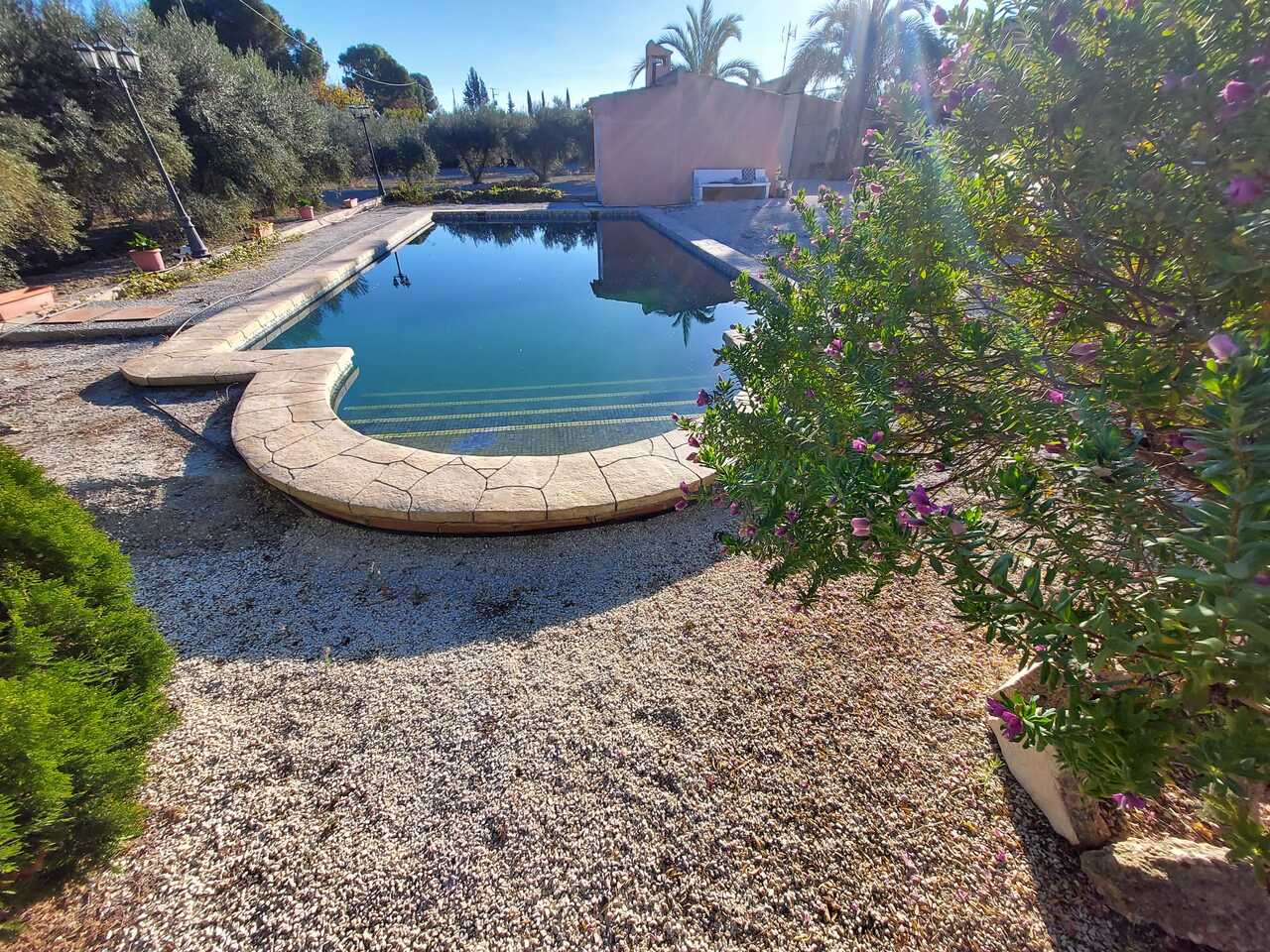 Pool area in villa for sale in Murcia