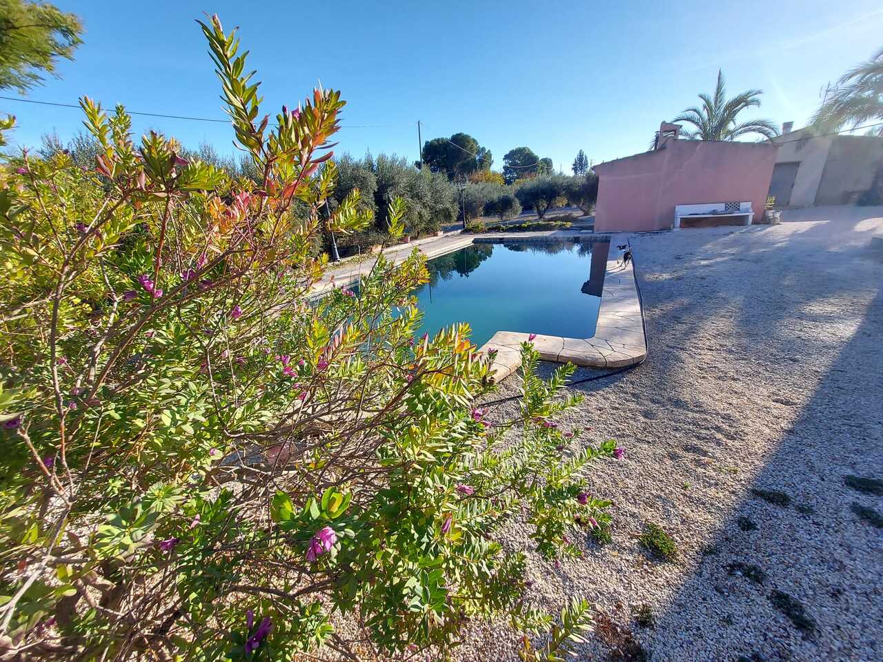 Dining area in villa for sale in Murcia