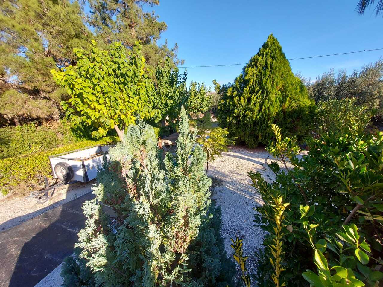 Exterior view in villa for sale in Murcia