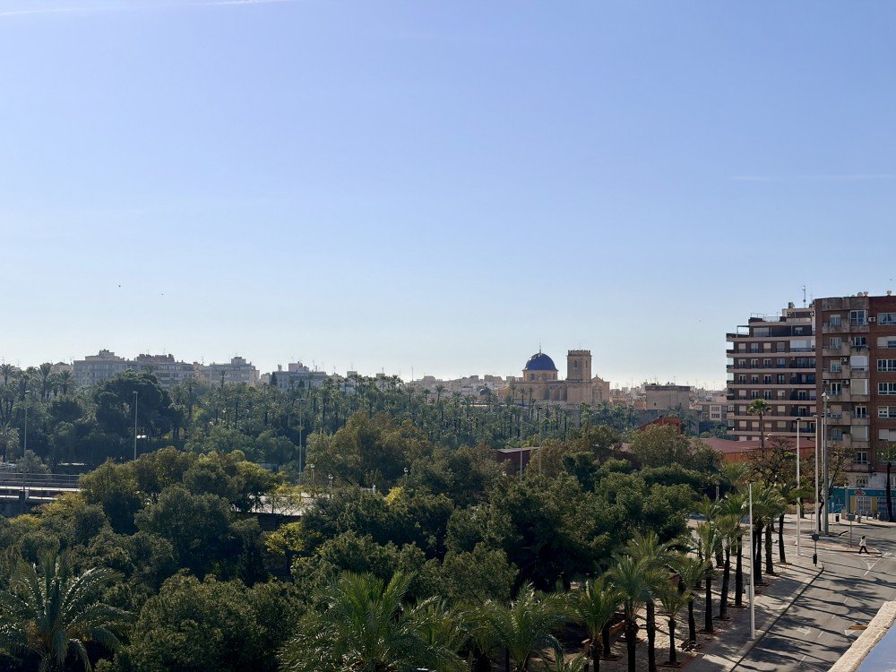 Garden in apartment for sale in Elche