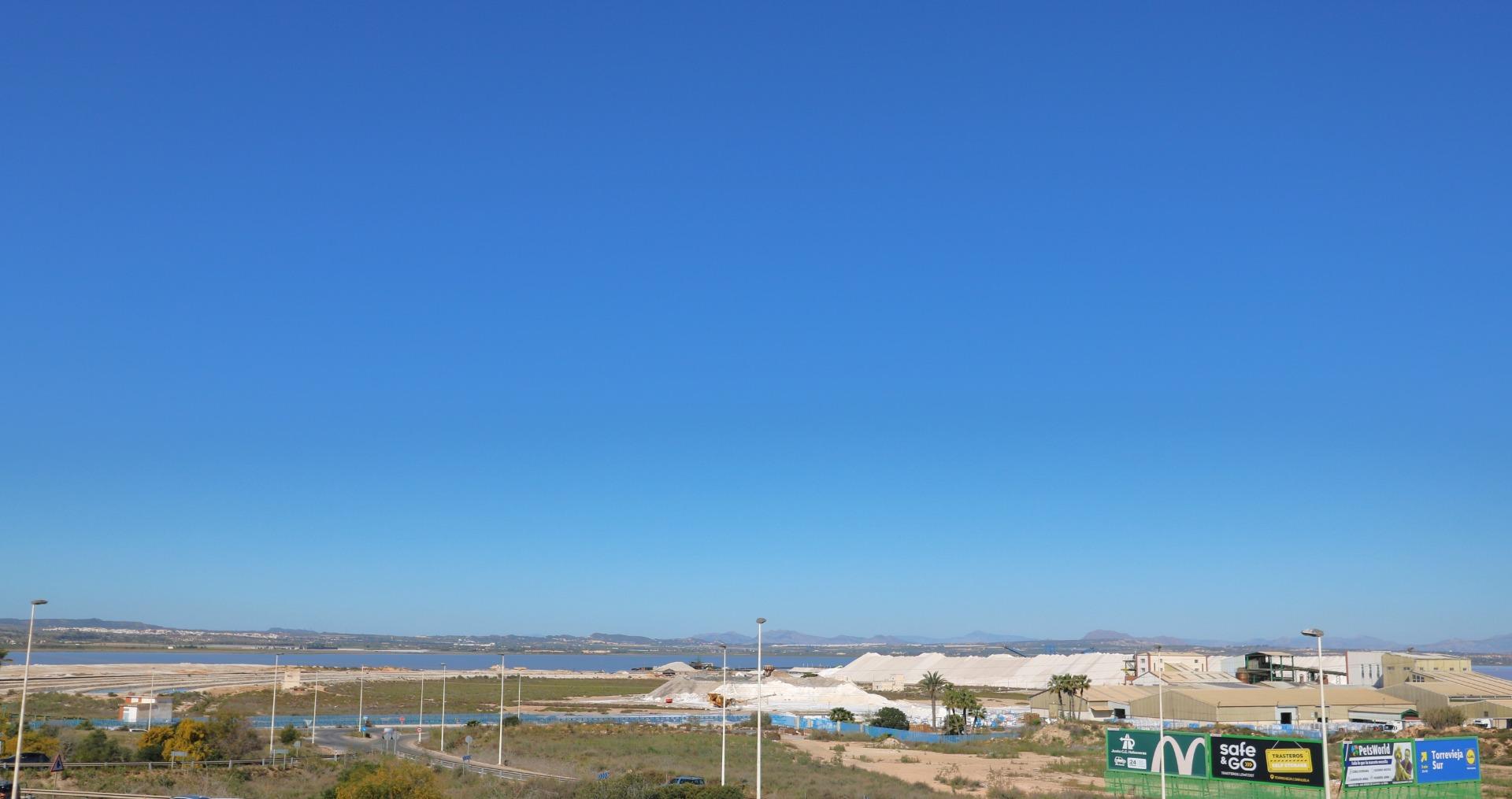 Garden in penthouse for sale in Torrevieja