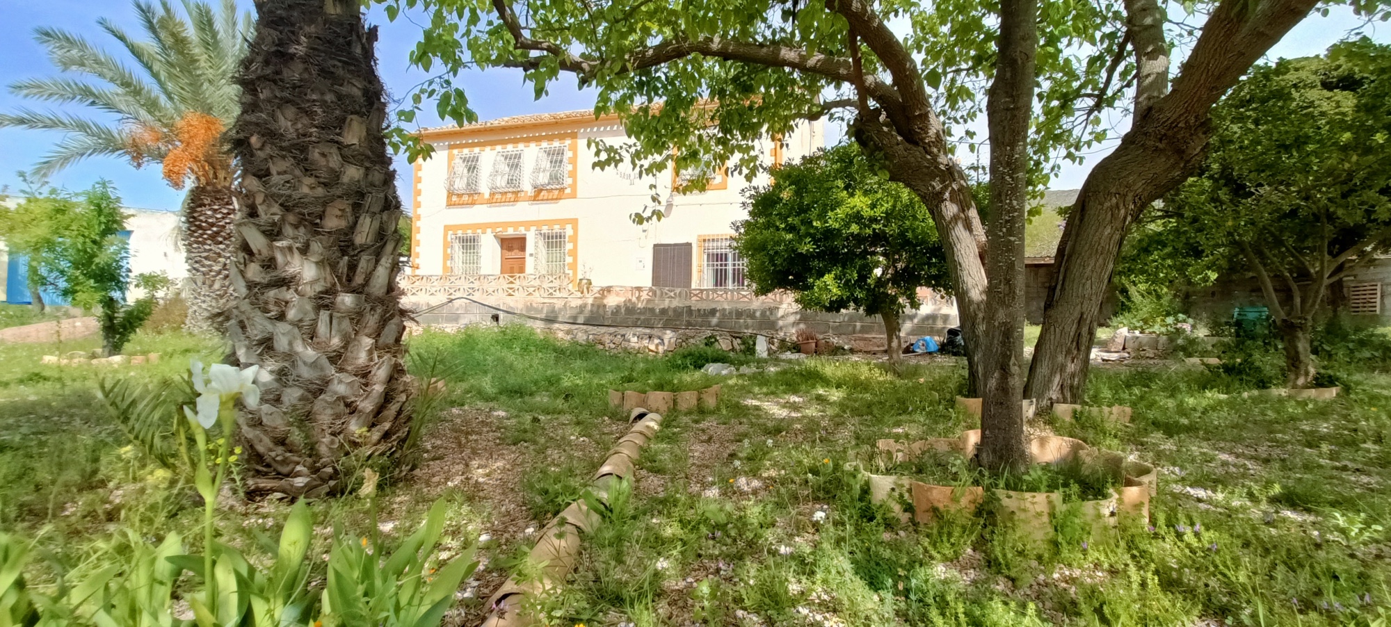Garden in villa for sale in La Romana