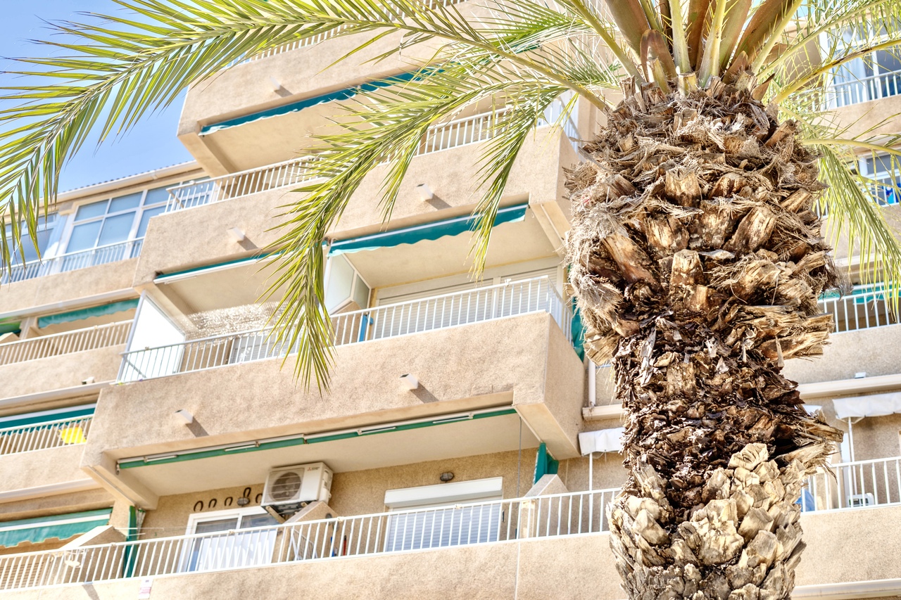 Pool area in apartment for sale in Guardamar del Segura