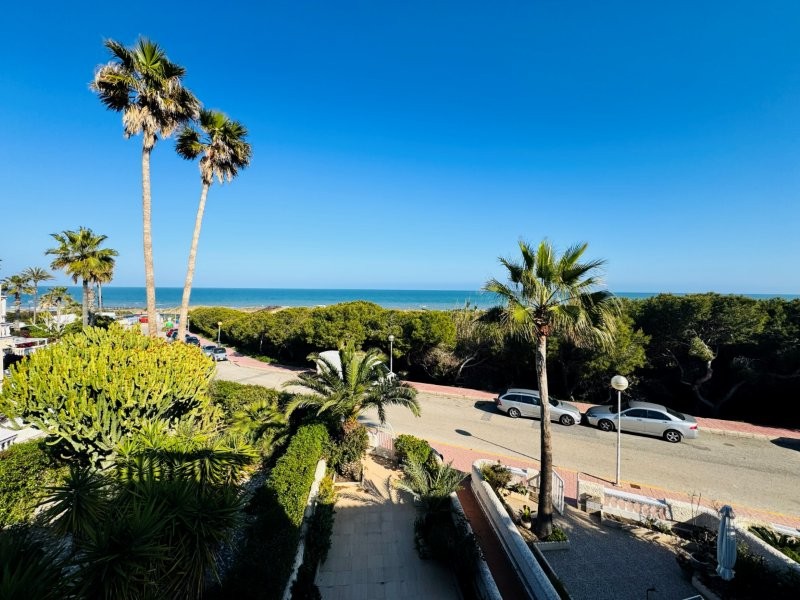 Pool area in duplex for sale in Guardamar del Segura