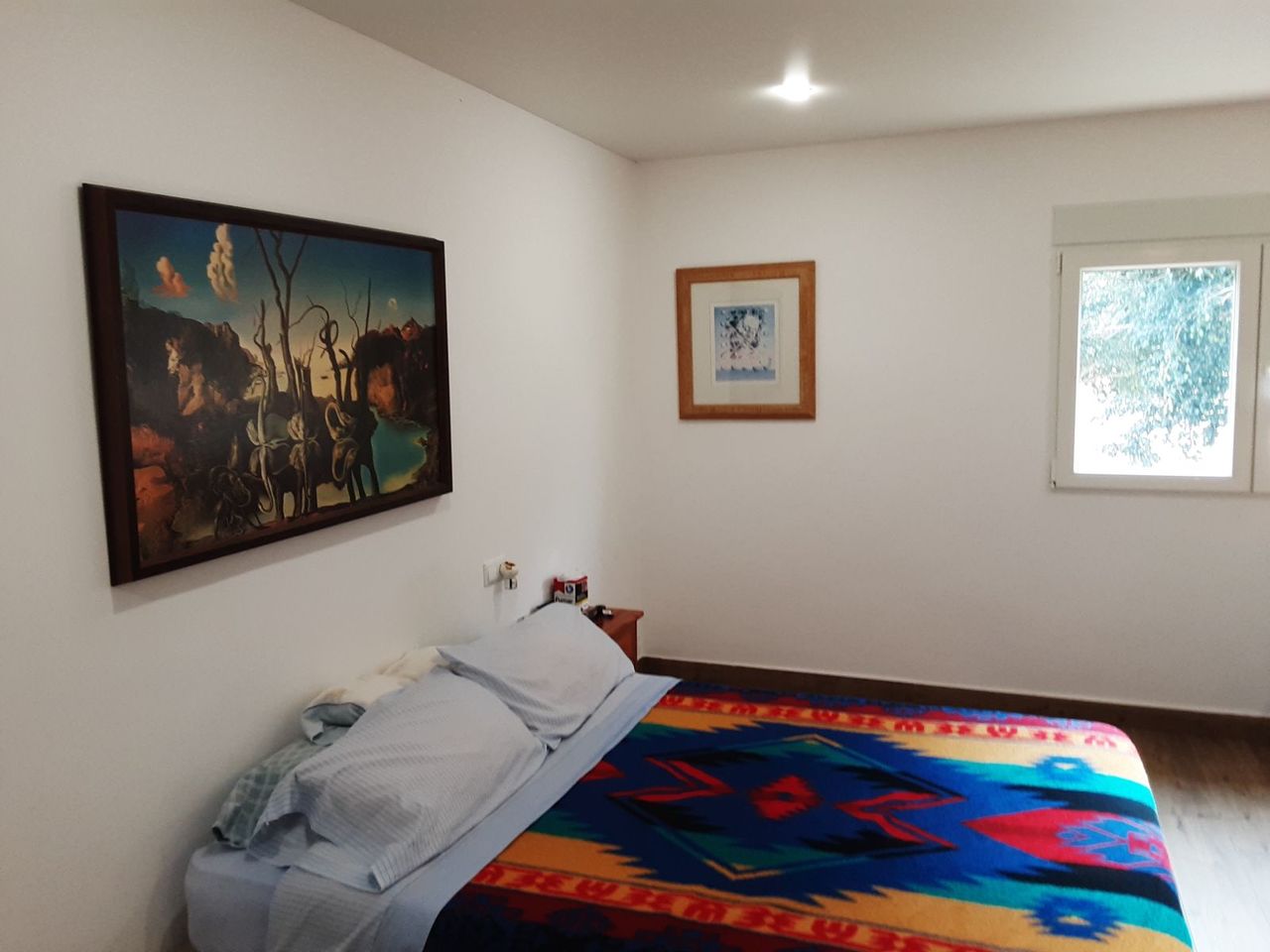 Garden in villa for sale in San Miguel de Salinas