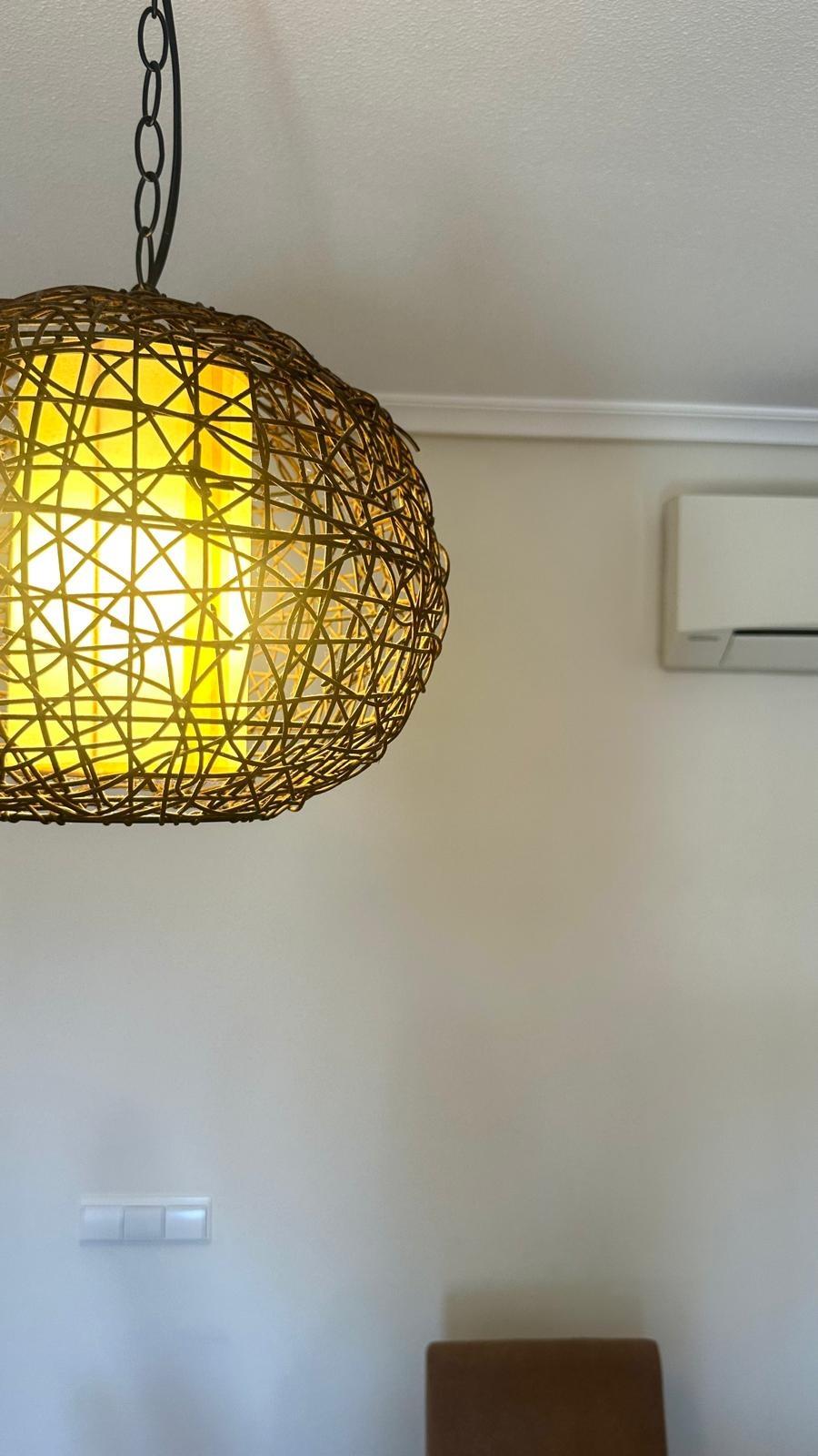 Garden in penthouse for sale in Torrevieja