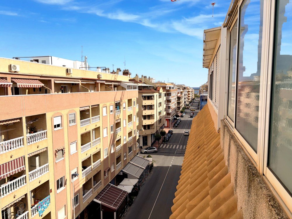 Garden in penthouse for sale in Torrevieja