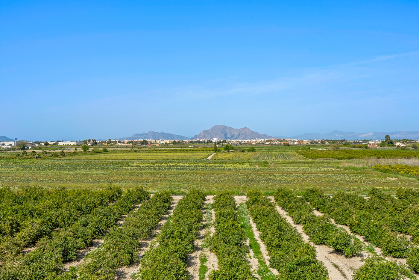 Garden in apartment for sale in Daya Nueva