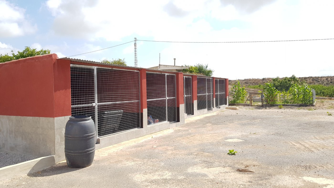 Living room in finca for sale in Los Montesinos