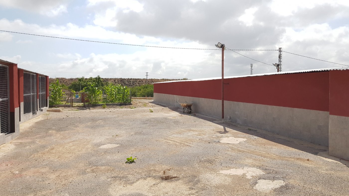 Kitchen in finca for sale in Los Montesinos