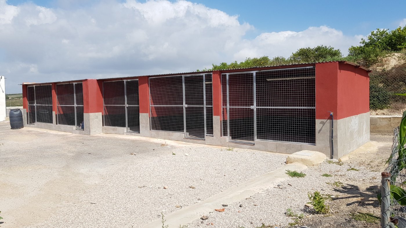 Bathroom in finca for sale in Los Montesinos
