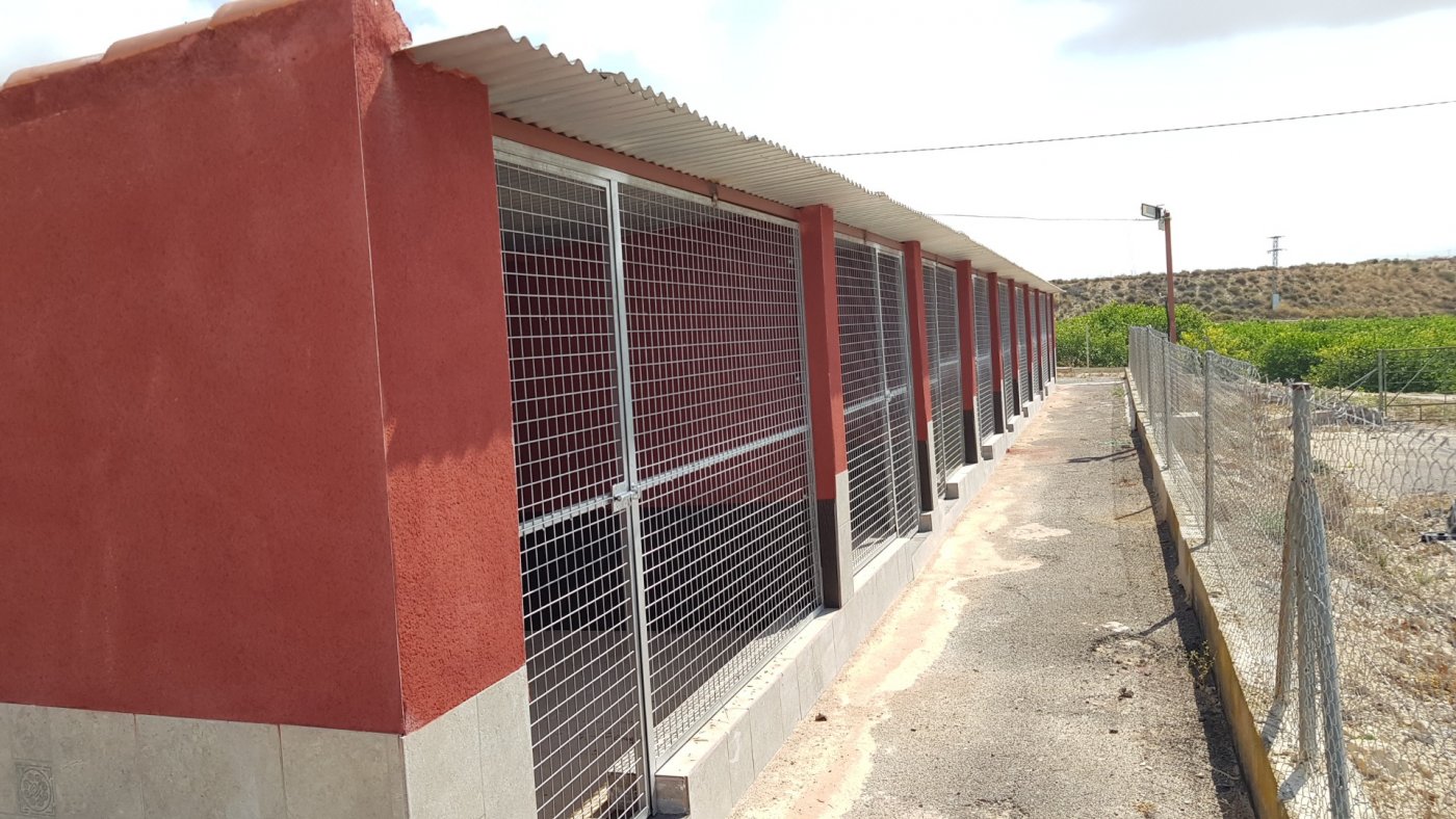 Terrace in finca for sale in Los Montesinos