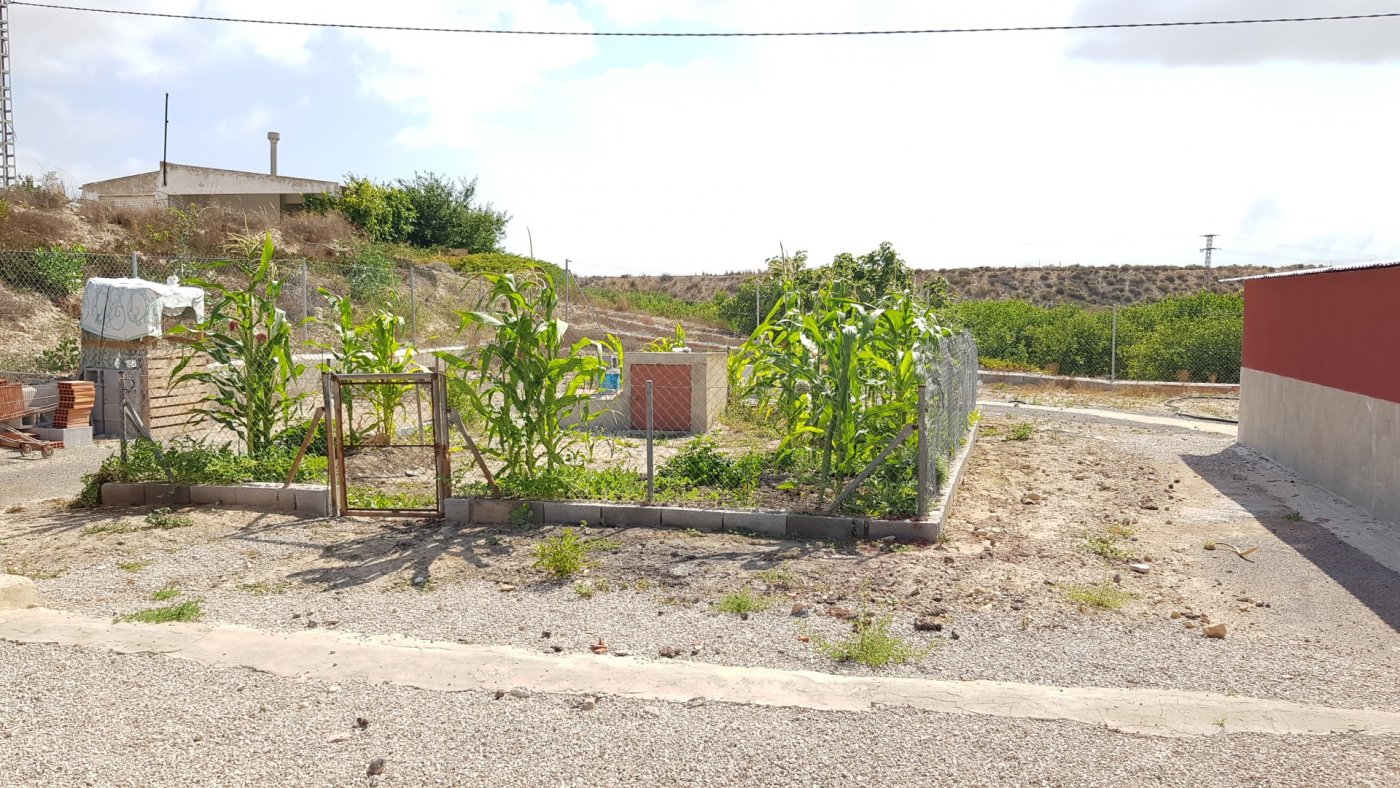 Garden in finca for sale in Los Montesinos