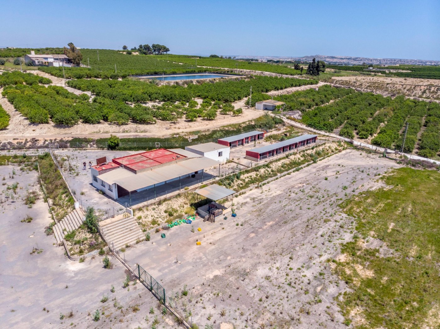 Garden in finca for sale in Los Montesinos