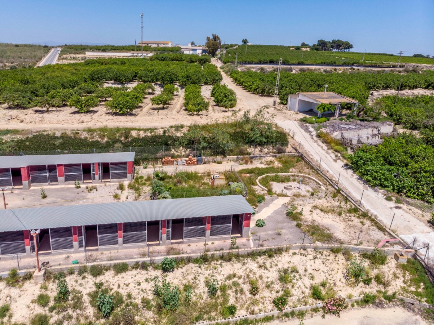 Terrace in finca for sale in Los Montesinos