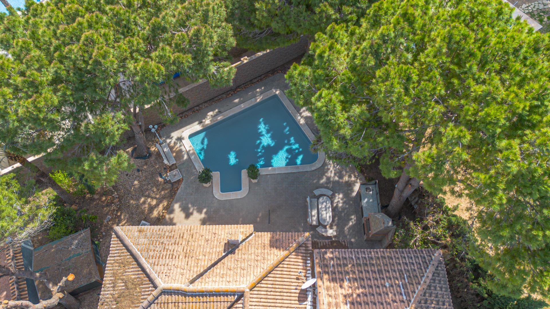 Garden in villa for sale in Rojales