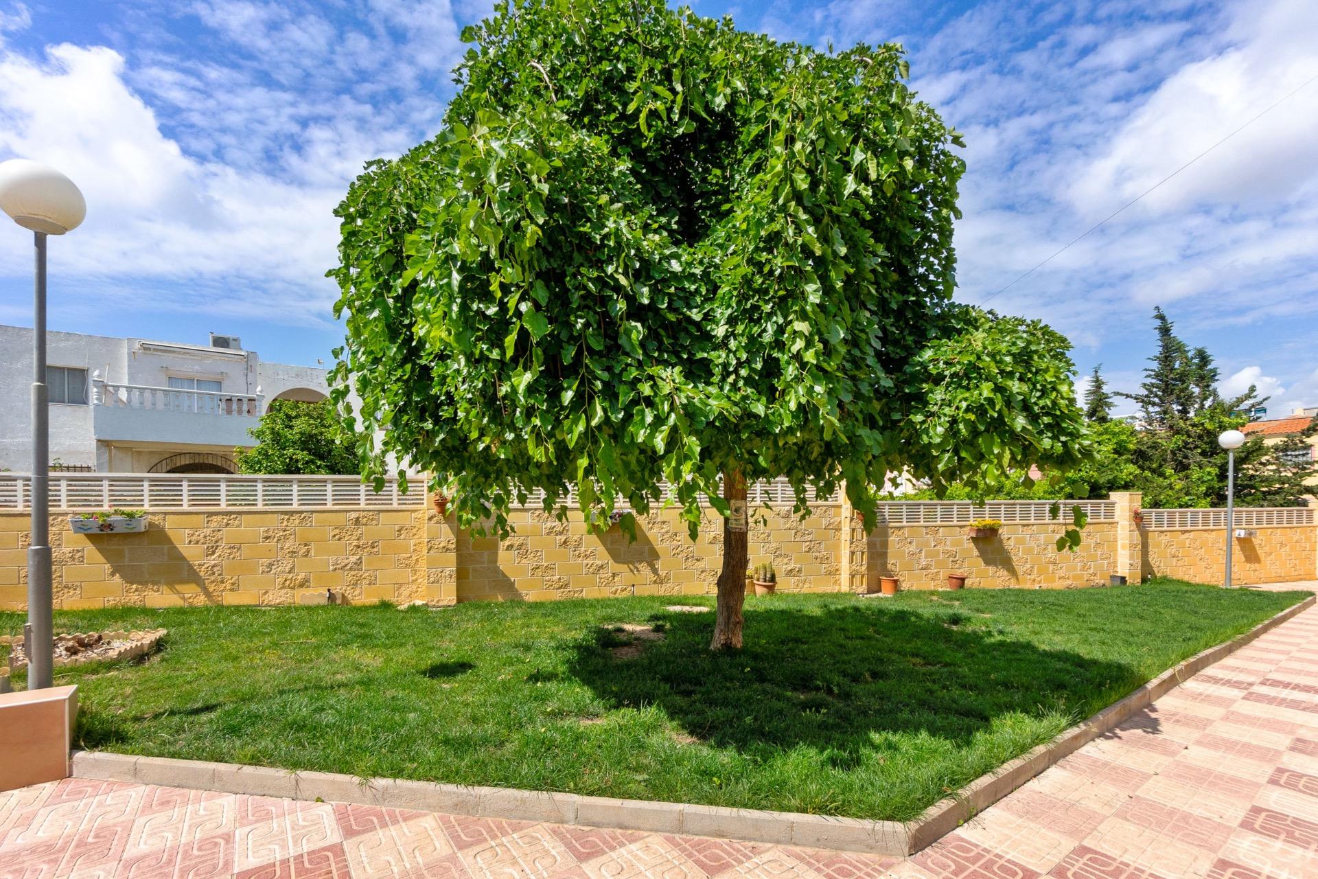 Exterior view in apartment for sale in Torrevieja