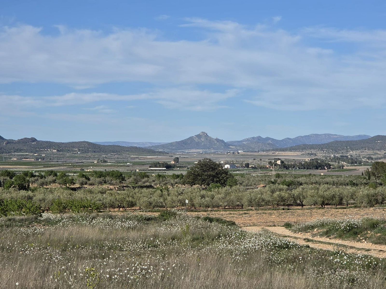 Terrace in land for sale in Monóvar/Monóver