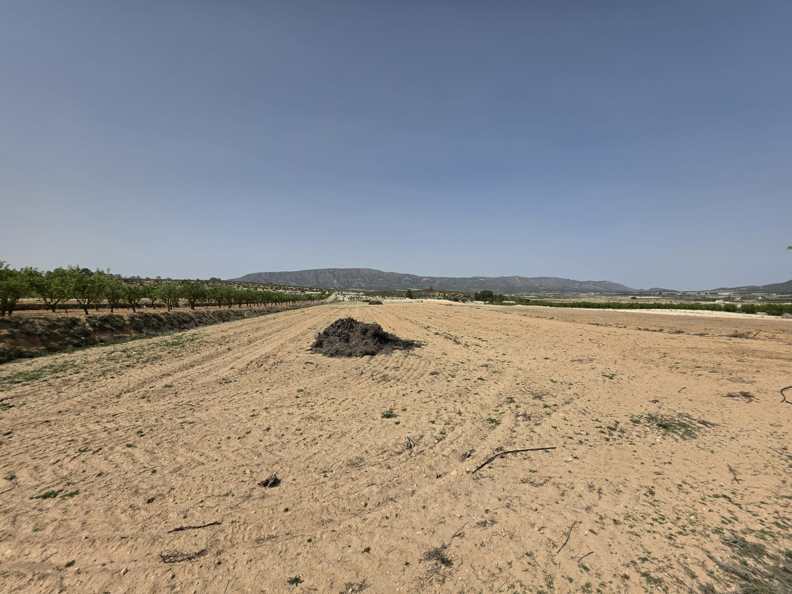 Living room in land for sale in Pinoso