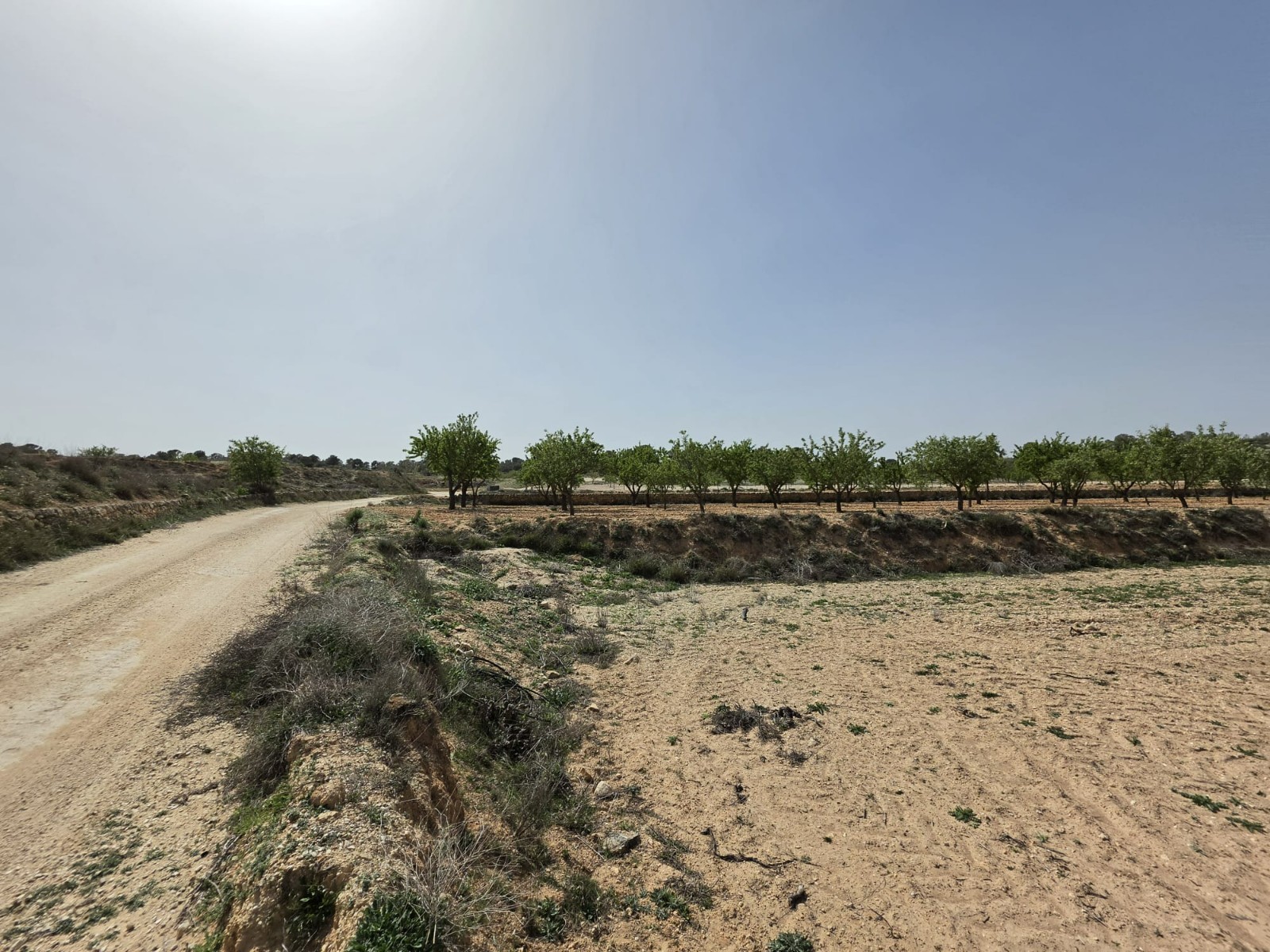 Bedroom in land for sale in Pinoso