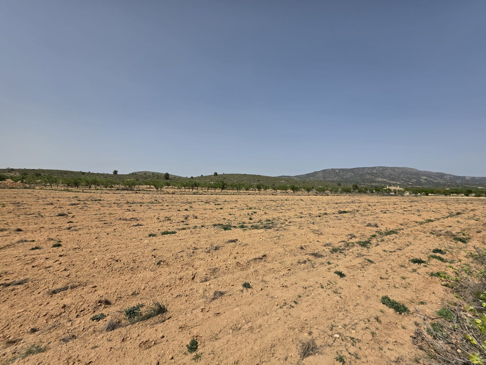 Living room in land for sale in Pinoso