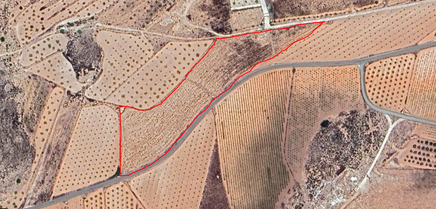 Terrace in land for sale in Pinoso