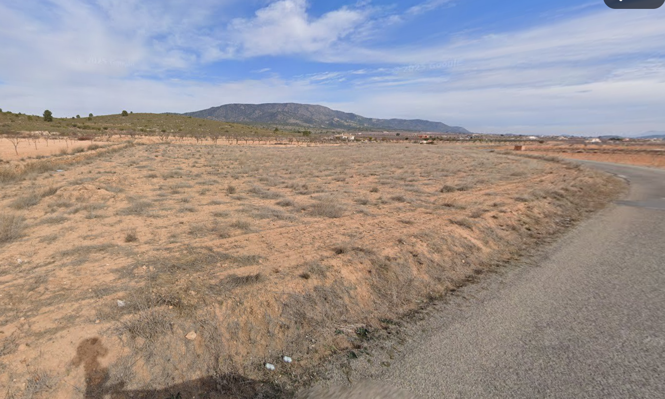 Garden in land for sale in Pinoso