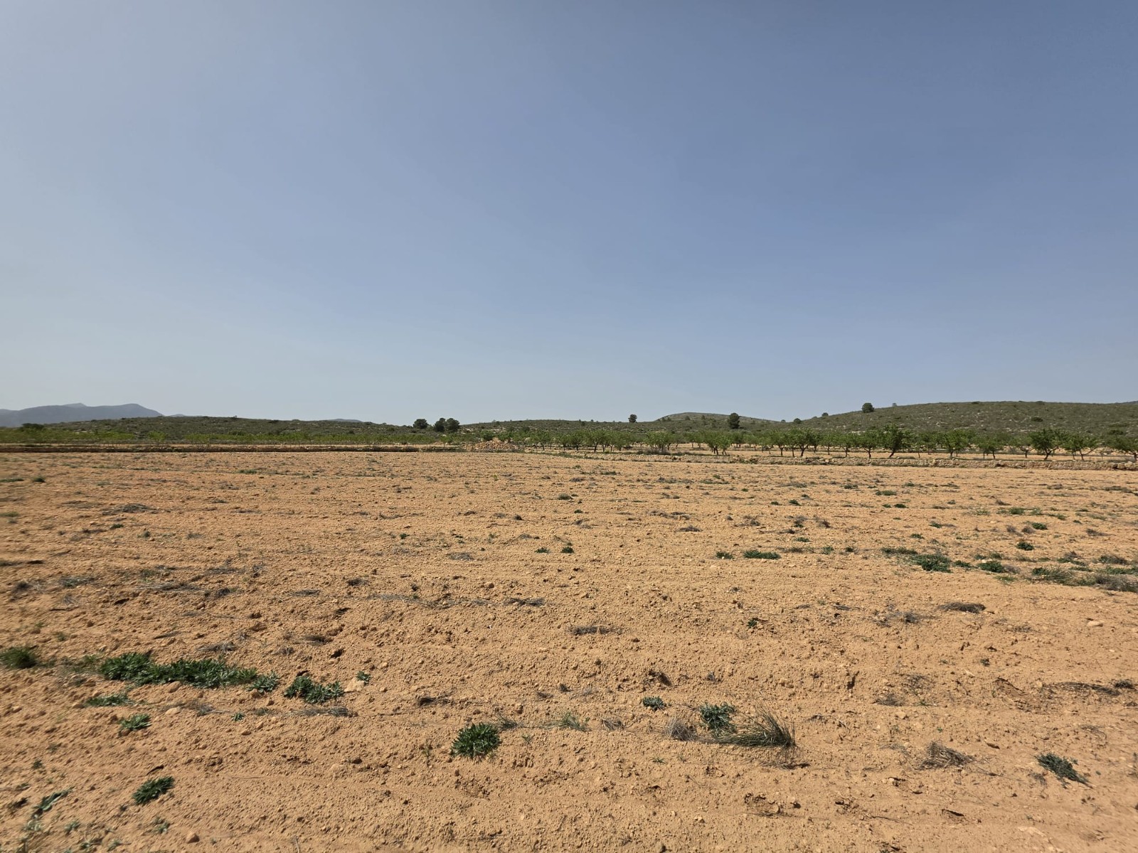 Dining area in land for sale in Pinoso