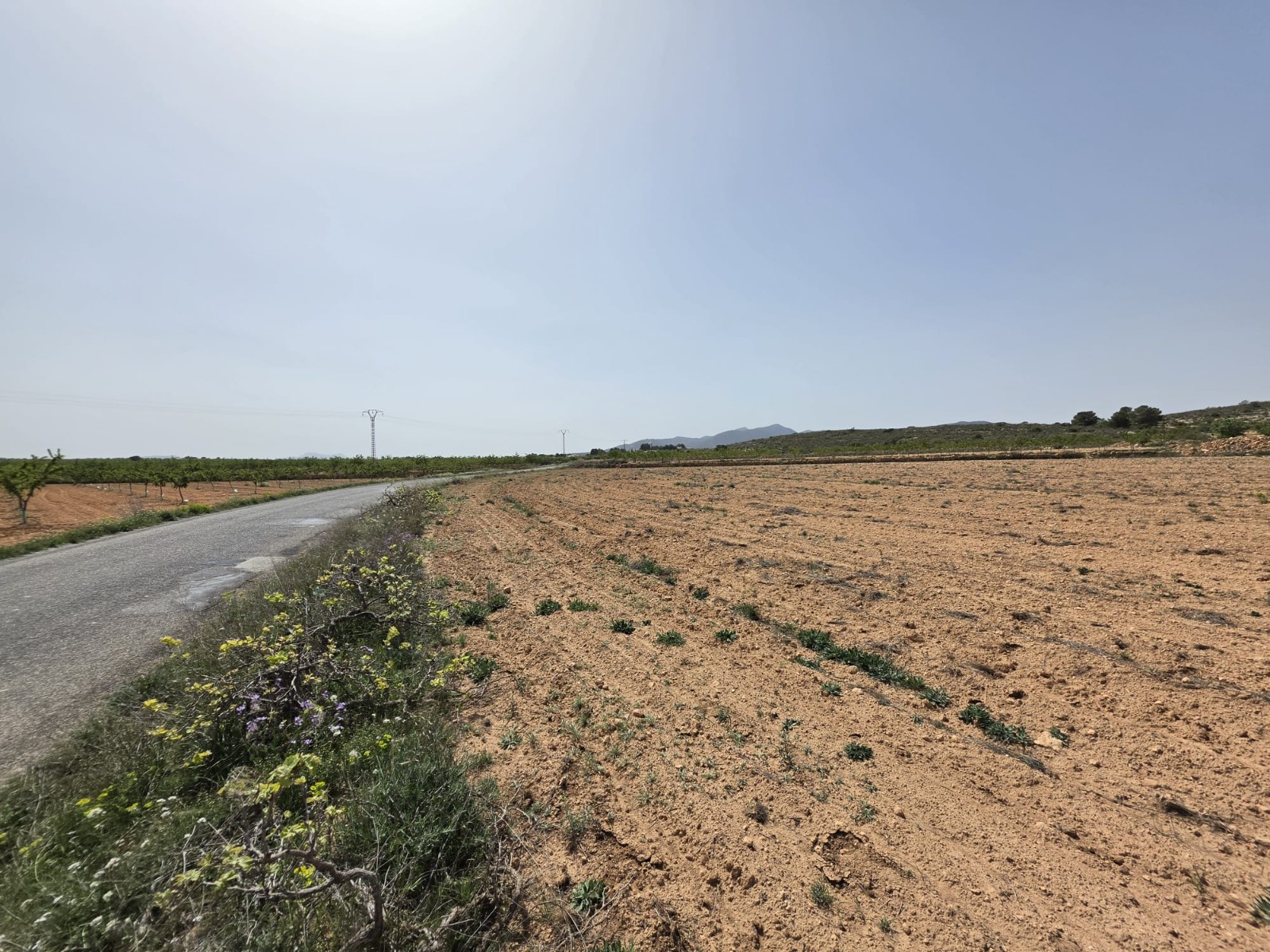Bedroom in land for sale in Pinoso