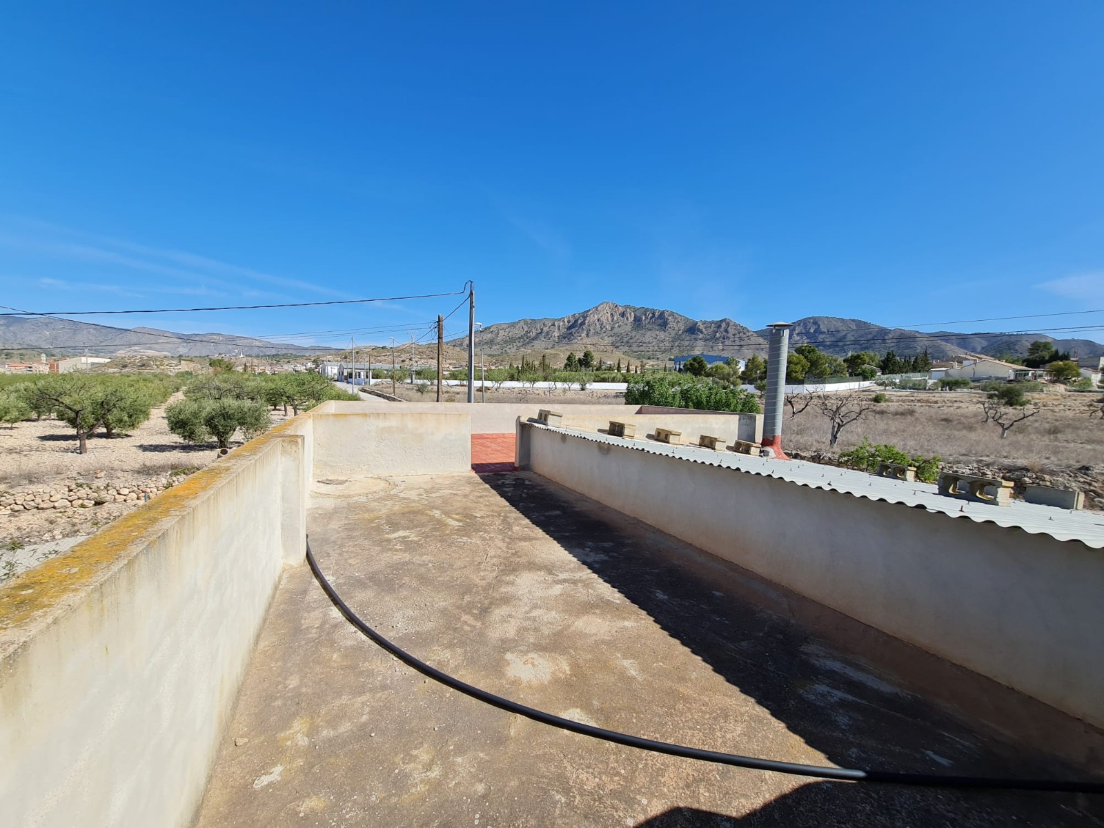 Garden in villa for sale in Barinas