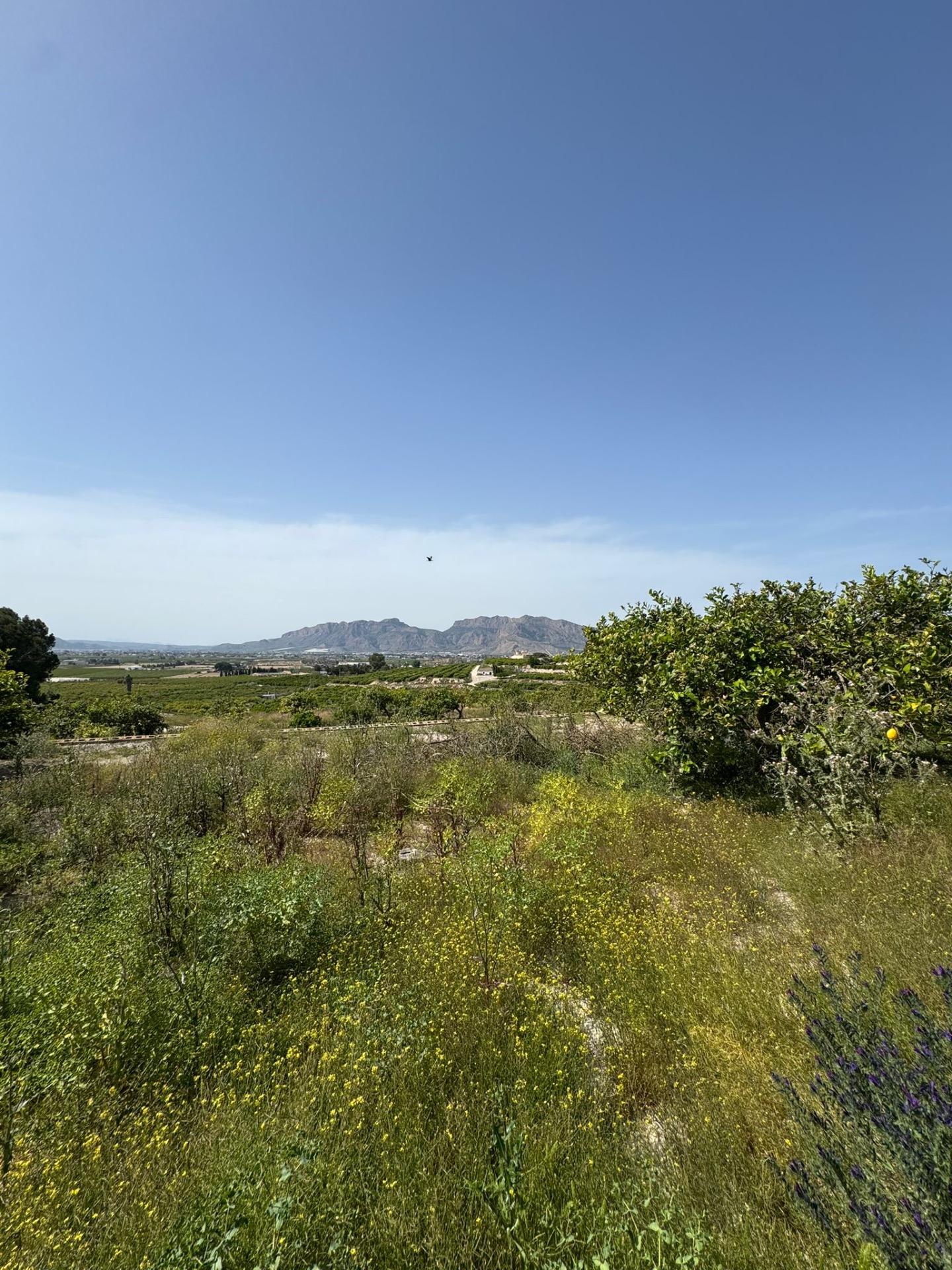 Pool area in finca for sale in Orihuela