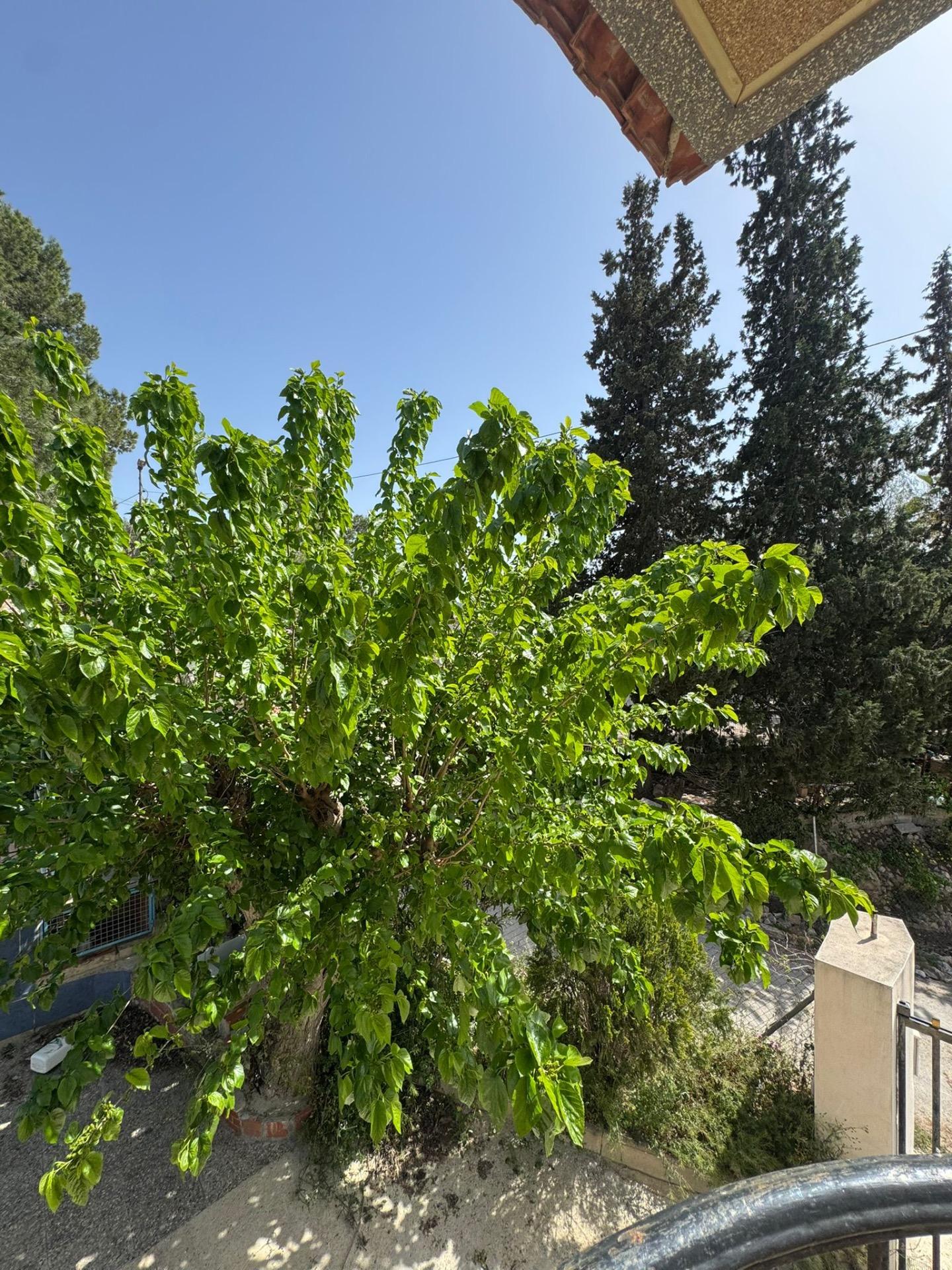Bathroom in finca for sale in Orihuela