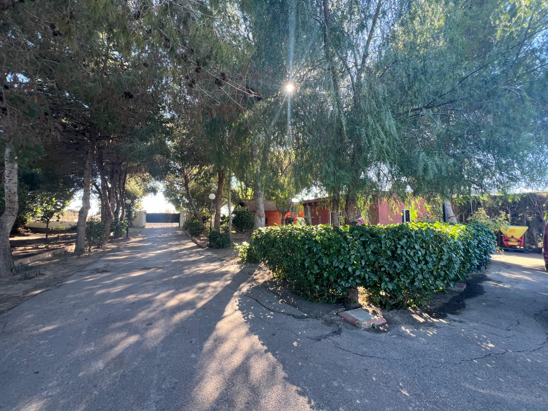 Master bedroom in finca for sale in Dolores